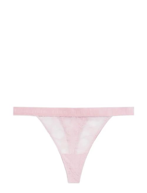 Tommy Hilfiger | Tanga Thong (Ext. Sizes) | L