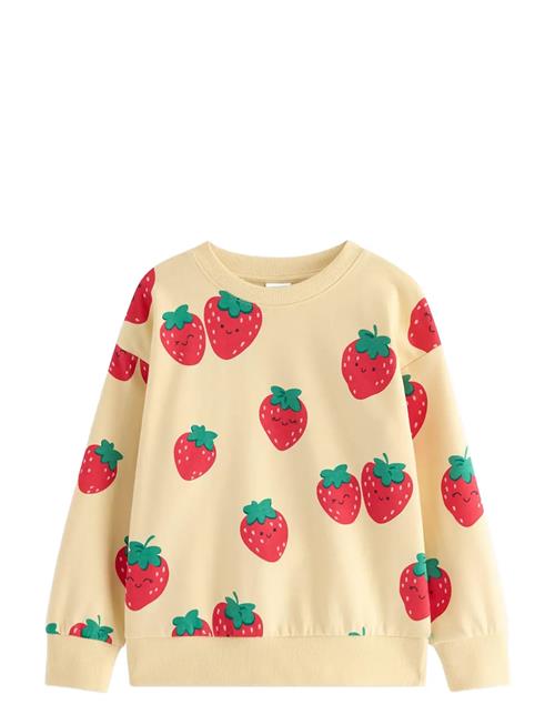 Lindex | Sweatshirt | 104