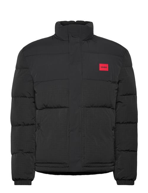 HUGO | Balto2541 | L