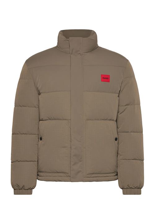 HUGO | Balto2541 | L