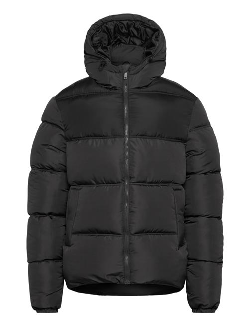 French Connection | Row Mid Panel | L