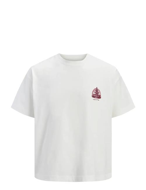 Jack & Jones | Jormaine Back Tee Ss Crew Neck Sn | L