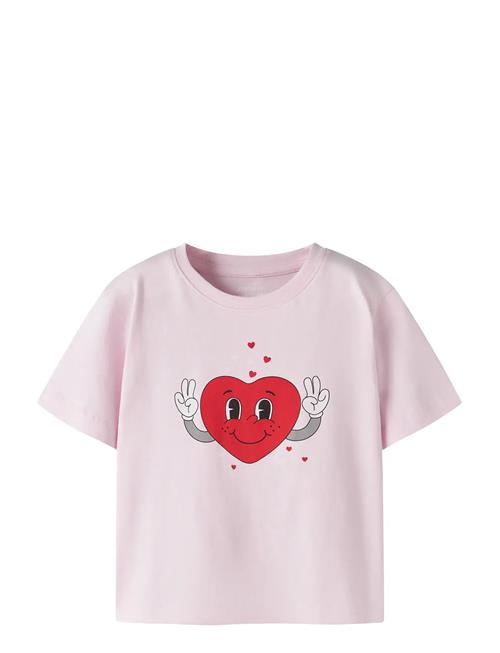 name it | Nmfbswet Ss Nreg Top Box | 110