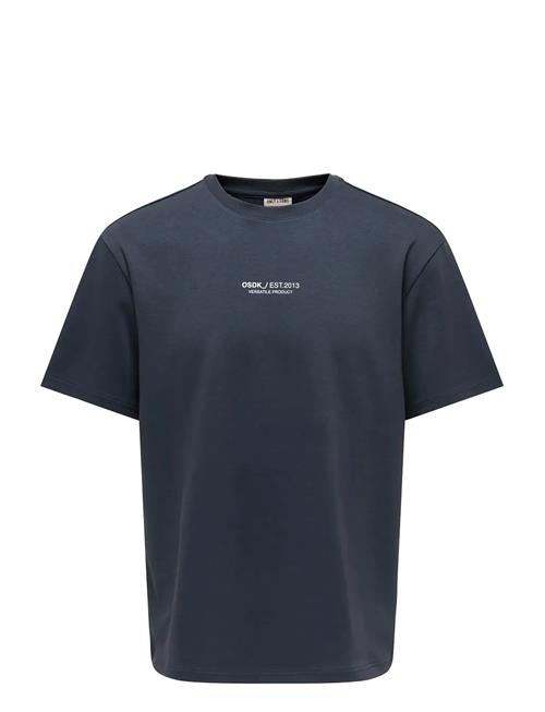 ONLY & SONS | Onscaspian Airflex Process Boxy Ss Tee | S