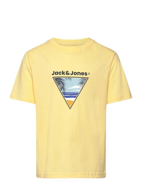 Jack & Jones | Jjperry Tee Ss Crew Neck Jnr | 164