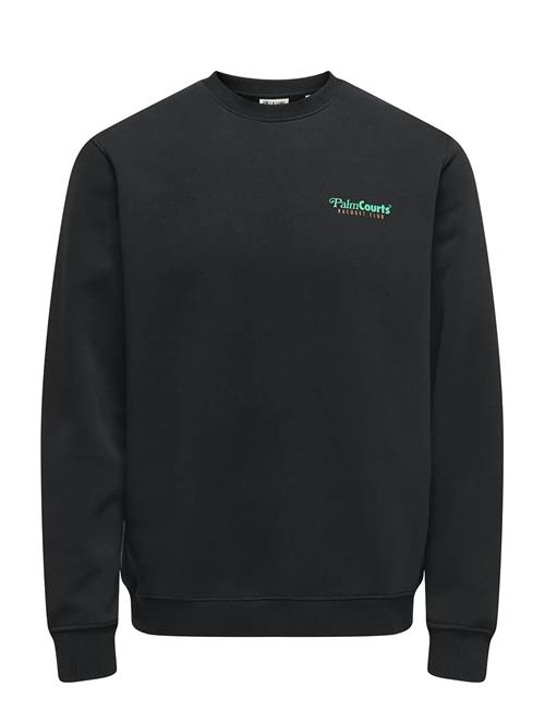 ONLY & SONS | Onsten Reg Ls Crew | S