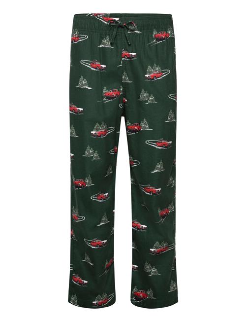 Hollister | Truck Conversational | M