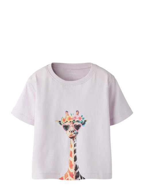 name it | Nmfvotea Ss Nreg Top | 92