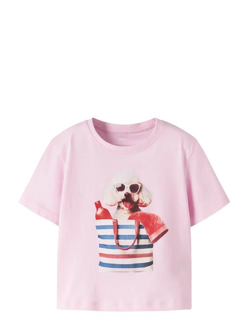 name it | Nmfvotea Ss Nreg Top | 98