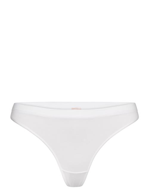 CCDK Copenhagen | Modal String Brief | XL