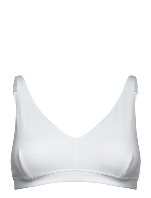 CCDK Copenhagen | Modal Bra Top | XL