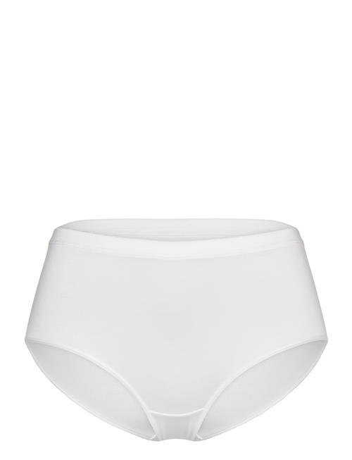 CCDK Copenhagen | Modal Maxi Brief | S