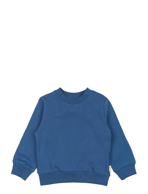 Petit Piao | Ppdun Sweat Shirt | 116