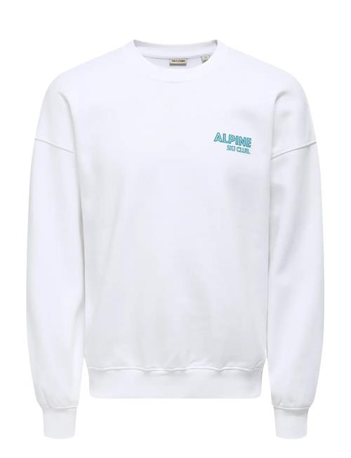 ONLY & SONS | Onsceres Ski Ls Reg Crew Swe Cs | M