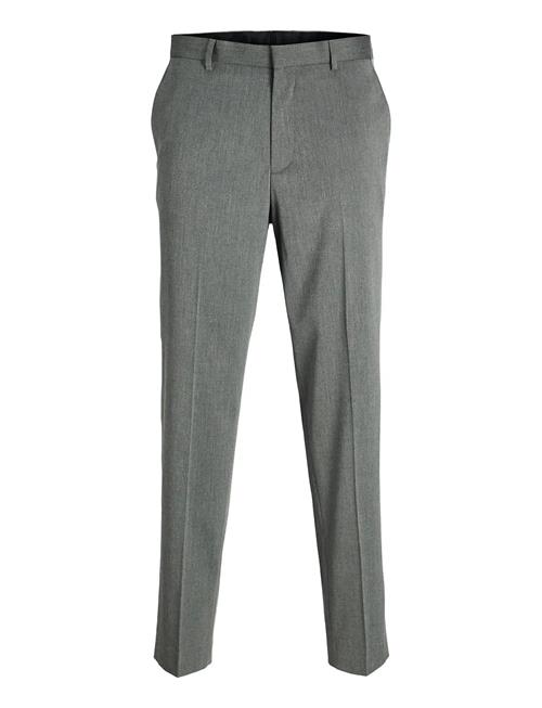 Jack & Jones | Jprbushwick Ashton Trouser Jnr | 170
