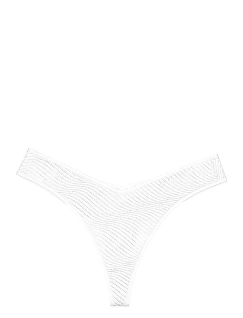 Triumph | Harmony Spotlight High Leg Brazilia | 42