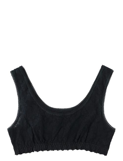 Hanky Panky | Hanky Panky Daily Lace, Lined Scoop Neck Bralette | S
