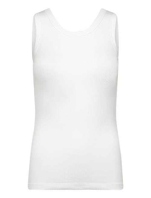 Calvin Klein | A- Modal Rib Tank (Essential) | L