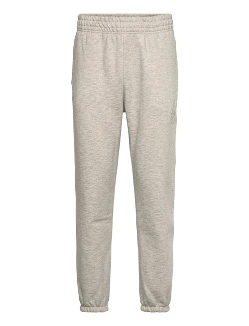 Tommy Hilfiger | Crest Graphic Sweatpant | XXL