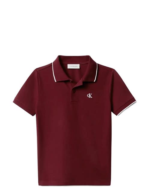 Calvin Klein | Tipping Regular Ss Polo | 104