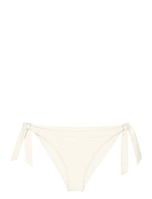 Triumph | Summer Dune Tai | 38