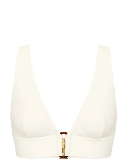 Triumph | Summer Dune P | B x 38