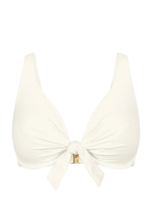 Triumph | Summer Dune W | E x 38