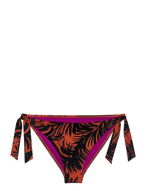 Triumph | Summer Palm Tai | 46