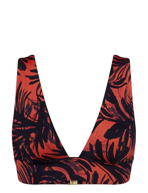 Triumph | Summer Palm P | E x 38