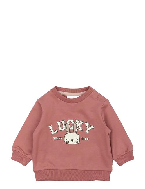 The New | Tnsbpheba Sweatshirt | 80