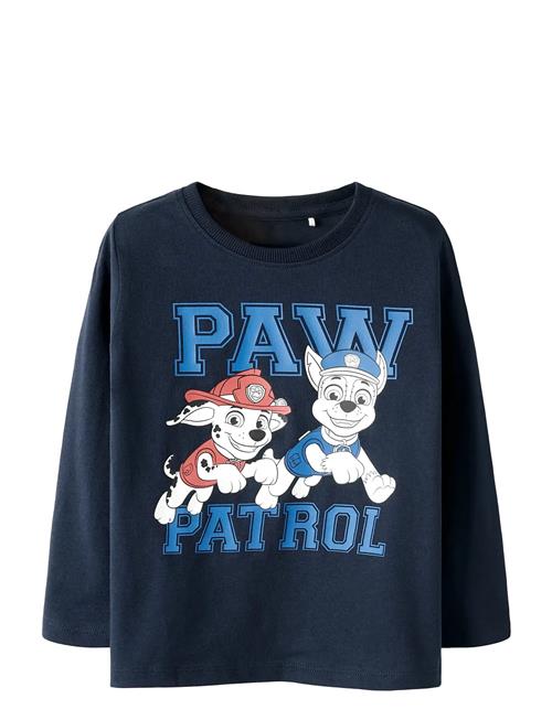 name it | Nmmvasp Paw Ls Top Cplg | 110