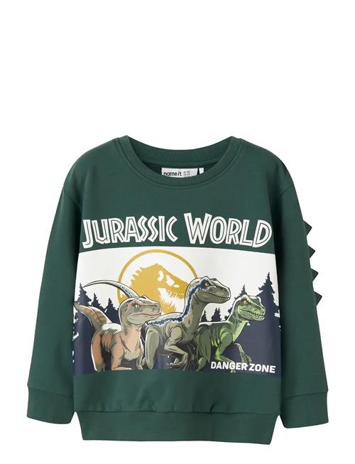 name it | Nmmoswald Jurassic Nreg Sweat Bru Sky | 104