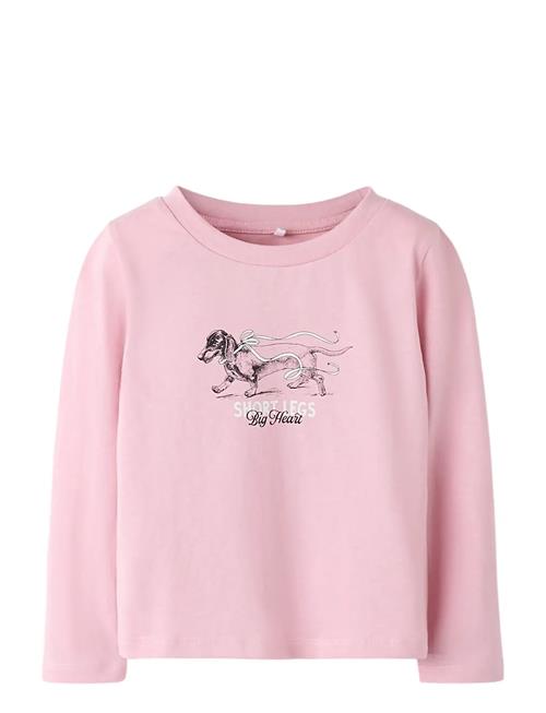 name it | Nmfsigne Ls Nreg Top | 98