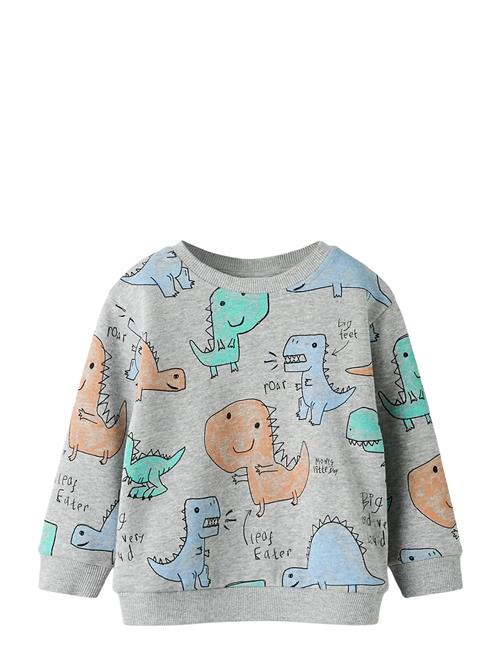 name it | Nmmsikko Ls Nreg Swe Bru | 98