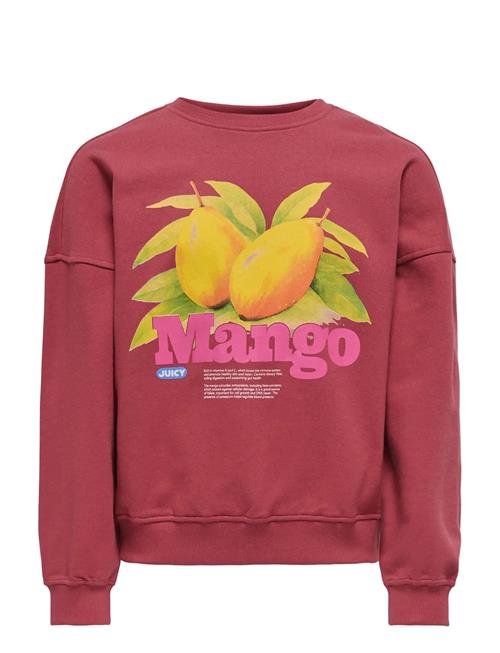 Kids Only | Kogphilea Life L/S Ovzfruit Oneck Ub Swt | 146-152