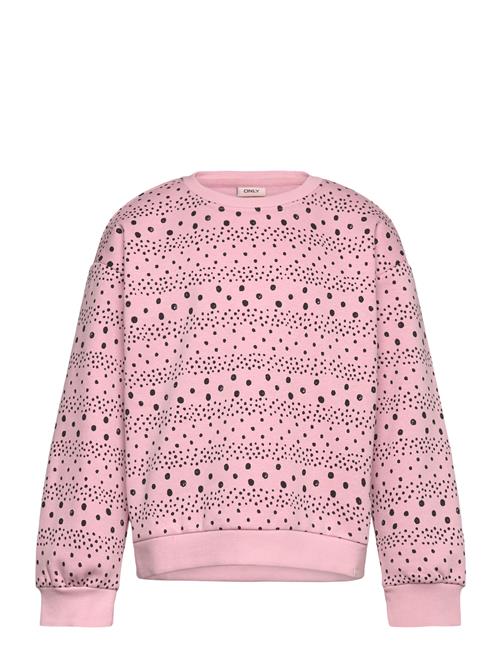 Kids Only | Kmgappalosa L/S Loose Life Pullo Bru Swt | 92