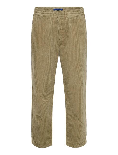 ONLY & SONS | Osjlinus Cropped Cord 9912 Pant Pnt | 170