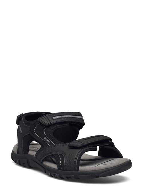 GEOX | Uomo Sandal Strada D | 45