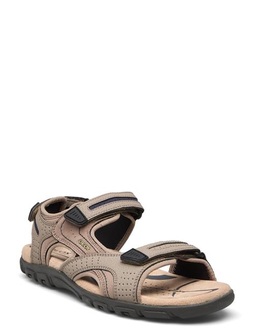 GEOX | Uomo Sandal Strada D | 41