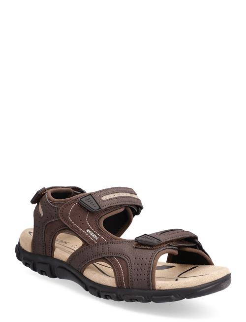GEOX | Uomo Sandal Strada D | 40