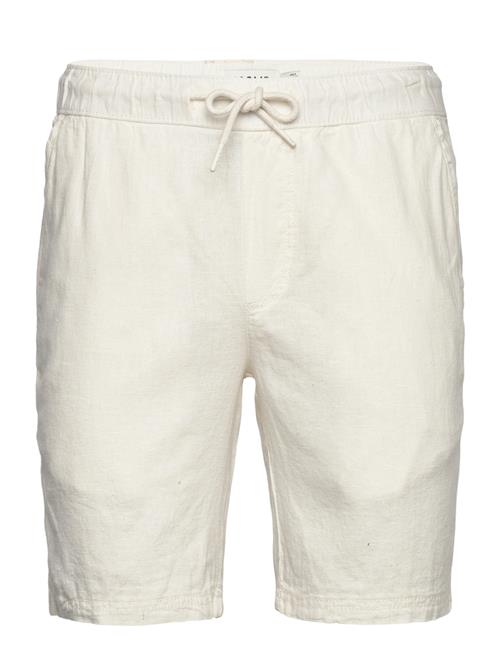 Solid | Sdaurelius Elas | L
