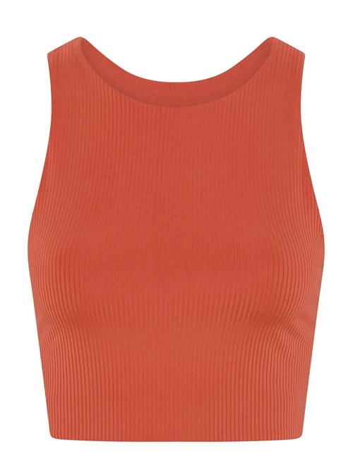 Girlfriend Collective | Rib Dylan Bra | XXL