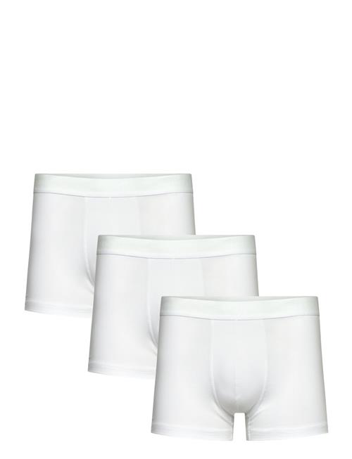 Bread & Boxers | 3-Pack Trunk | XXL