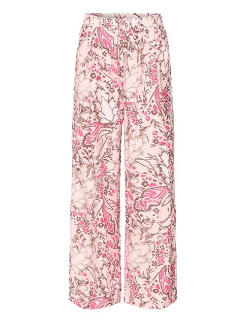 Fransa | Frariana Pa 3 | XXL