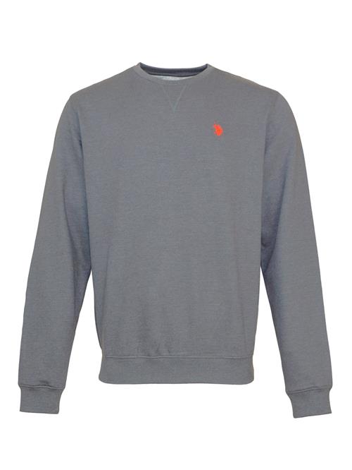 U.S. POLO ASSN. Pullover  grå / rød