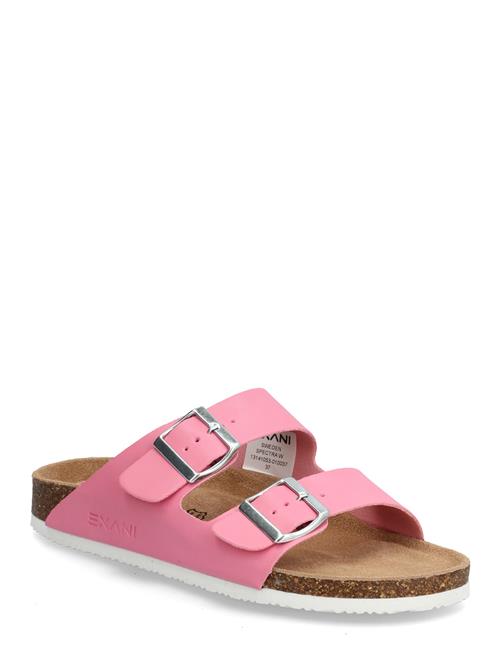 Exani | Spectra W | 40