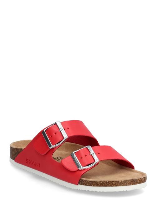 Exani | Spectra W | 40