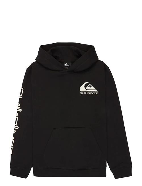 Quiksilver | Omni Logo Hoodie Youth | 10