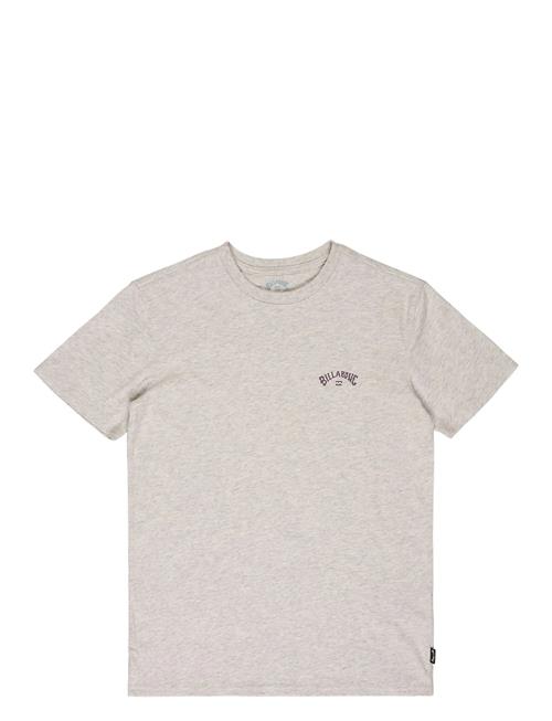 Billabong | Arch Wave Ss | L