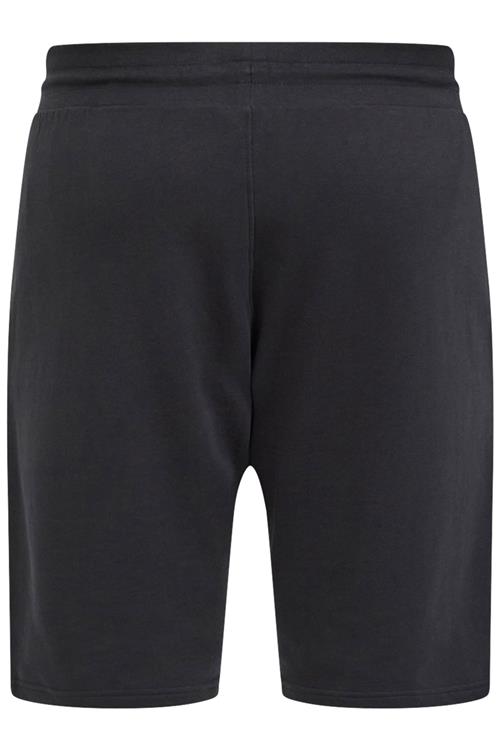 North Casual shorts